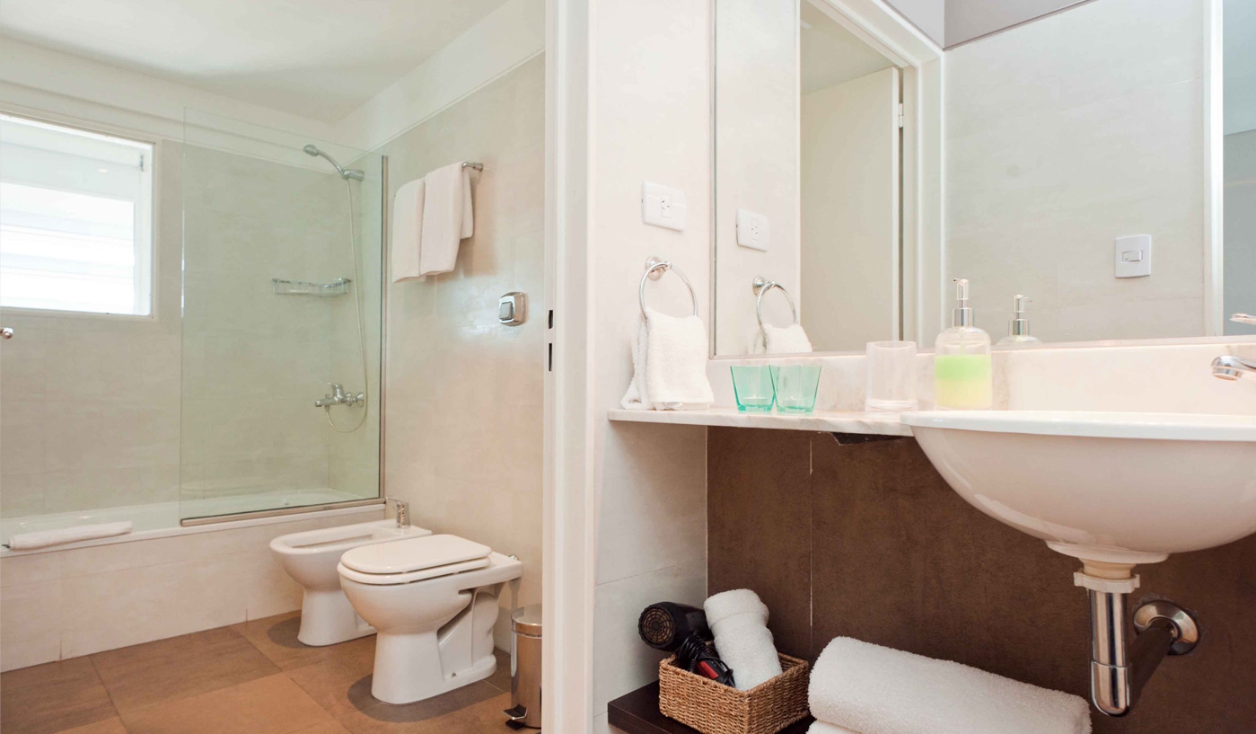 Spacious One Bedroom Penthouse Loft in Five Star Building