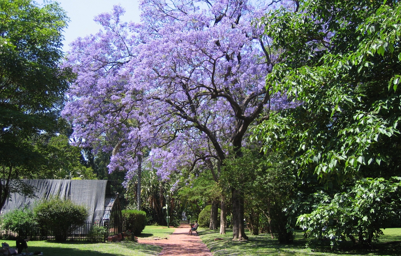 Close to the cityâ€™s best parks, this quiet residential area of Palermo is conveniently close to major sights